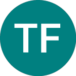 Logo de Talisman First Venture Cap (TFV).