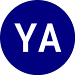 Logo de Yieldmax Amd Option Inco... (AMDY).