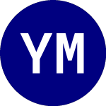 Logo de Yieldmax Meta Option Inc... (FBY).
