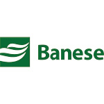 Logo de BANESE ON (BGIP3).