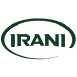 Logotipo para CELULOSE IRANI ON