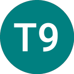 Logo de Transnet 9.5% A (81SV).