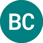 Logo de Business Control Solutions (BCT).