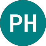 Logo de Pacific Horizon Investment (PHI).