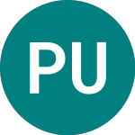 Logo de Premier Uk Dual Return Trust (PUKC).