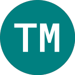 Logo de Technology Minerals (TM1).