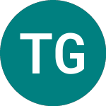 Logo de Trans-siberian Gold (TSG).