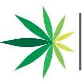 Logotipo para American Cannabis (QB)