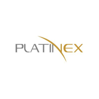 Logo de PTX Metals (QB) (PANXF).