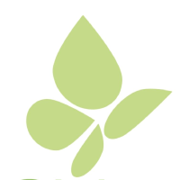 Logo de Pieridae Energy (PK) (PTOAF).