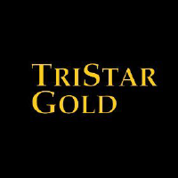 Logo de TriStar Gold (QB) (TSGZF).