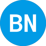 Logo de Bon Natural Life (BON).