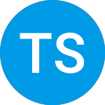 Logo de Telecommunication Systems (TSYS).