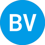 Logo de Blue Vista Real Estate P... (ZAHTUX).